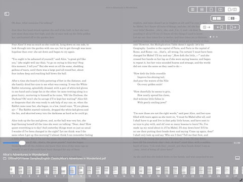 Page Preference Panel